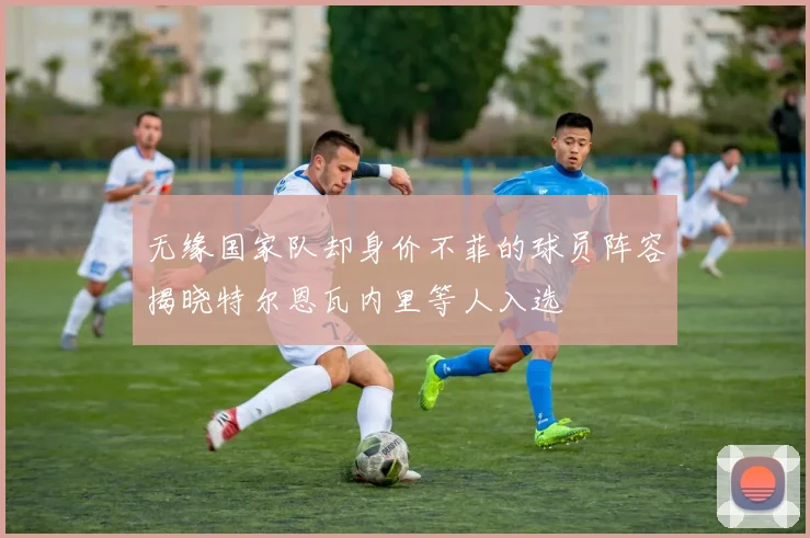 无缘国家队却身价不菲的球员阵容揭晓特尔恩瓦内里等人入选