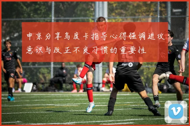 申京分享乌度卡指导心得强调进攻意识与改正不良习惯的重要性