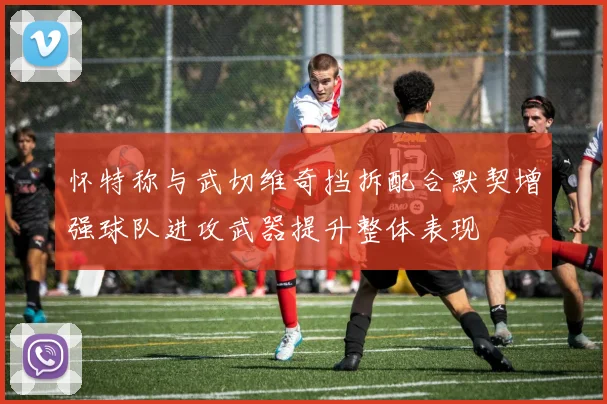 怀特称与武切维奇挡拆配合默契增强球队进攻武器提升整体表现